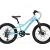 bikestar 20 inch MTB turquoise/roze