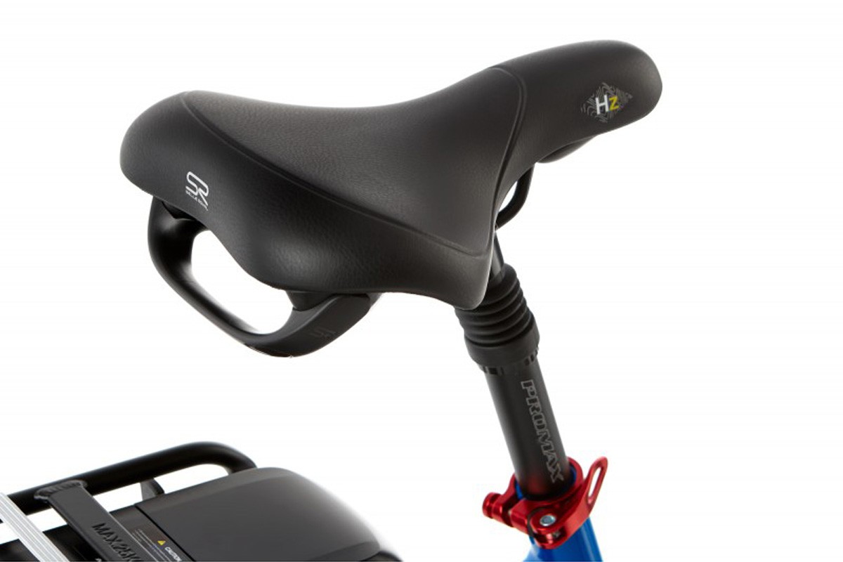 Elektrische dames transportfiets, Trager 28, middenmotor, N3, grijs TK - Afbeelding 5