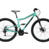 bikestar 29 inch MTB mintgroen