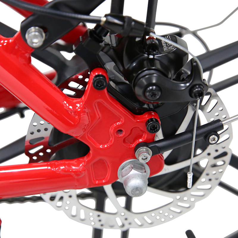 Llobe elektrische vouwfiets EasyStar Gala 20 inch 10Ah 7sp rood - Afbeelding 11