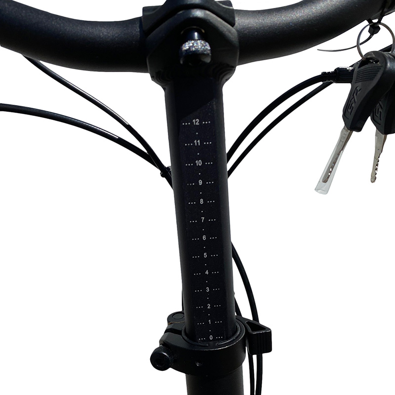 Elektrische vouwfiets, EasyStar, 20 inch, 10Ah, 7 sp, blauw - Afbeelding 10