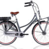 elektrische damesfiets transport Rosendaal 3 grijs