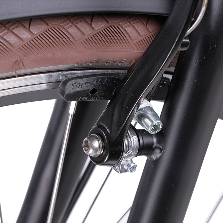 Elektrische herenfiets, transport, Rosendaal 3, Nxs 7, 50 cm, 13Ah, zwart - Afbeelding 10