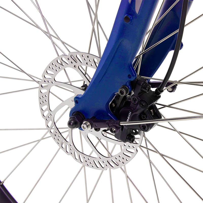 Elektrische damesfiets, Bea, 44 cm, middenmotor, 7sp, blauw - Afbeelding 8