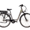 Saxonette City Plus ebike zilver