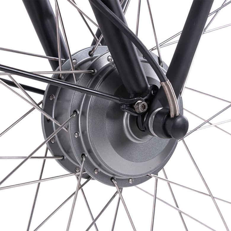 Elektrische damesfiets, transport, Rosendaal 3, 50 cm, Nxs 7, 15.6 Ah zwart - Afbeelding 6