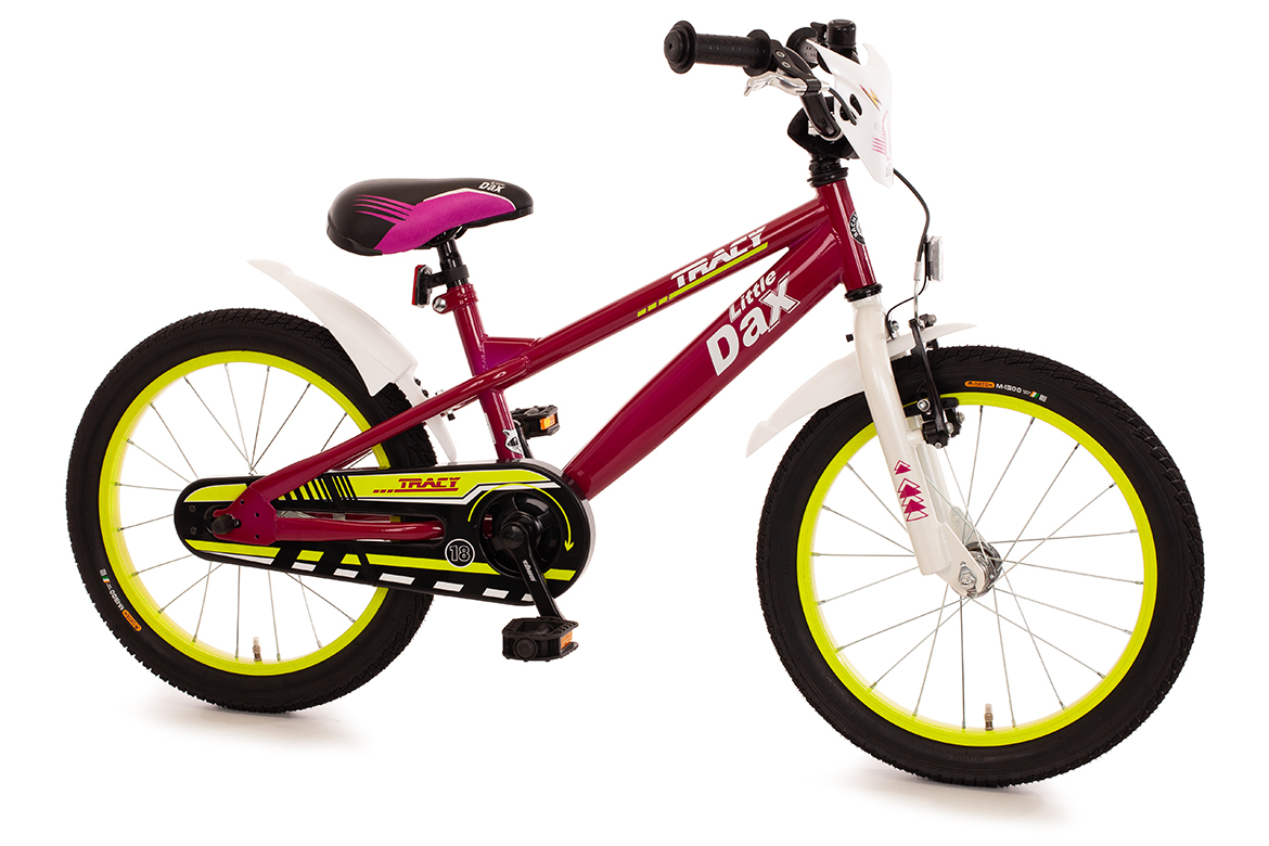 Little Dax 18 inch kinderfietsje paars