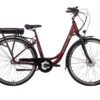 Saxonette Advanced Plus rood nexus 3 ebike