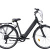 elektrische damesfiets 7sp Amant Eco grijs
