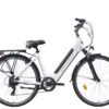 elektrische damesfiets 7sp Amant Eco wit