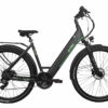 elektrische trekkingfiets 21 versnellingen zwart