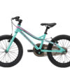 Lowenrad kinderfiets MTB 18 inch mintgroen