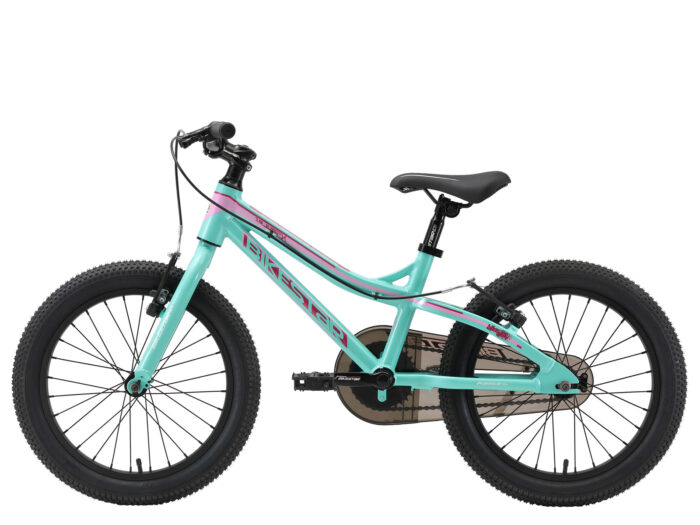 Lowenrad kinderfiets MTB 18 inch mintgroen