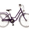 Bachtenkirch Buleva kinderfiets 24 inch paars