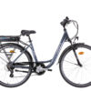 Scrapper elektrische fiets blauw